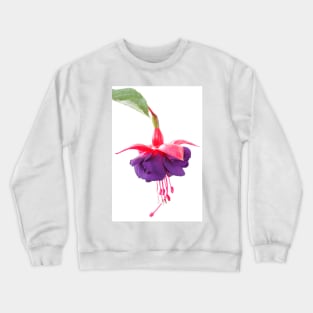 Fuchsia  'Dark Eyes'  AGM Crewneck Sweatshirt